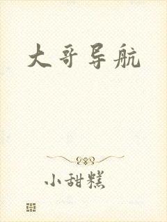 大哥导航