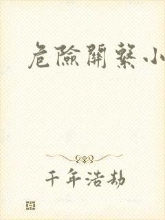 危险关系小说