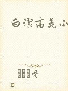 白洁高义小说