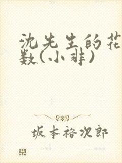 沈先生的花式调数(小非)