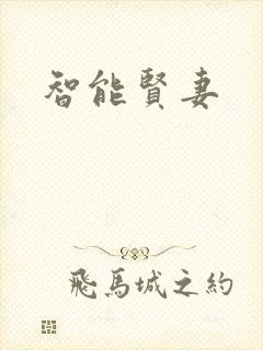 智能贤妻