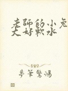 老师的小兔子好大好软水