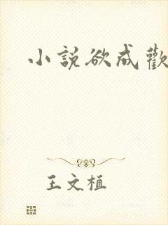 小说欲成欢