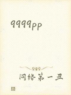 9999pp封面