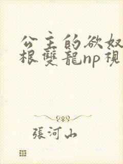 公主的欲奴h四根双龙np视频