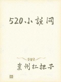 520小说网封面