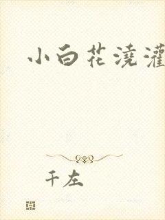 小白花浇灌日常