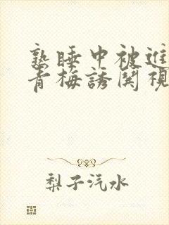 熟睡中被进了H青梅诱哄视频