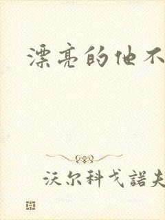 漂亮的他不说话