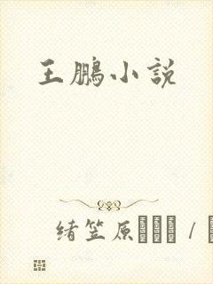 王鹏小说