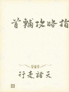 首辅攻略指南