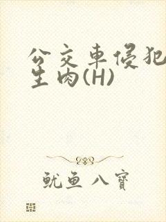 公交车侵犯小男生肉(H)