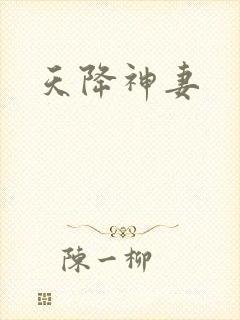 天降神妻