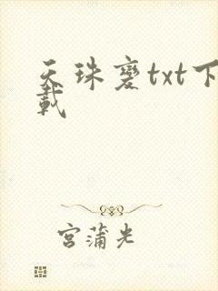 天珠变txt下载封面