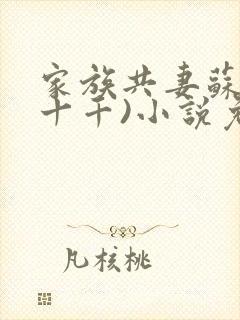家族共妻苏苏(十千)小说免费封面