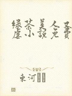 绿茶美人又在求虐小说免费阅读笔趣阁