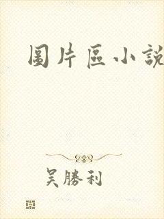 图片区小说区封面
