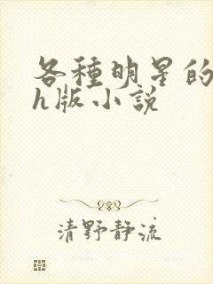 各种明星的综艺h版小说封面