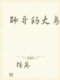 帅哥的大鸟