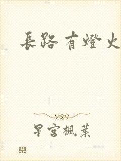 长路有灯火
