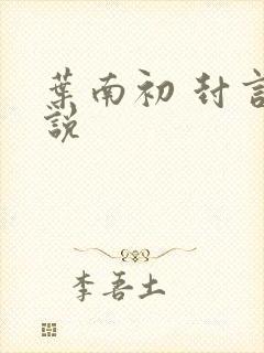 叶南初 封言小说封面