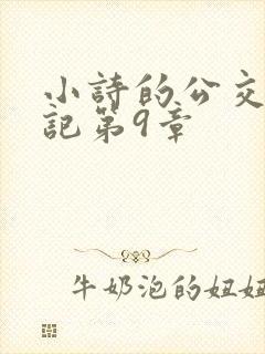 小诗的公交车日记第9章封面