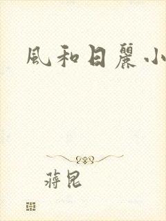 风和日丽小说封面