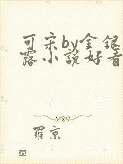 可宋by金银花露小说好看吗