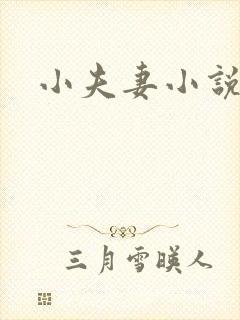 小夫妻小说
