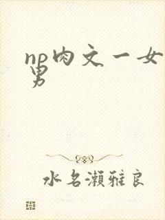 np肉文一女多男