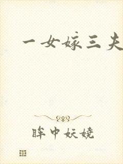 一女嫁三夫封面
