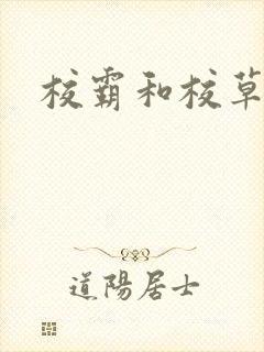 校霸和校草封面