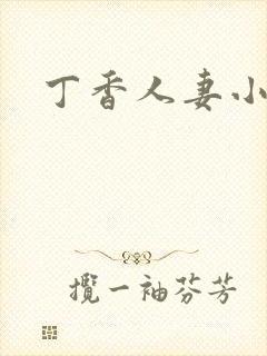 丁香人妻小说