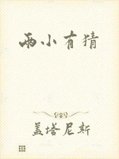 两小有猜