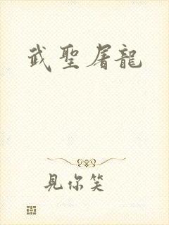 武圣屠龙封面