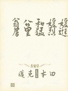 翁公和媛媛在厨房里猛烈进出封面