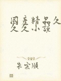 国产精品久久久久久小说
