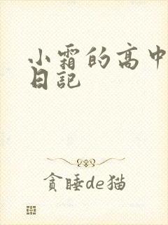 小霜的高中成长日记封面