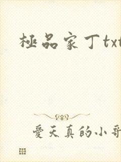 极品家丁txt