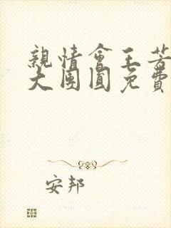 亲情会王芳高敏大团圆免费阅读