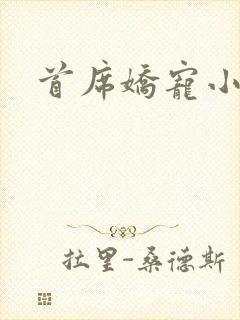 首席娇宠小情人封面