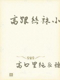 高跟丝袜小说