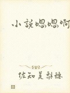 小说嗯嗯啊啊封面