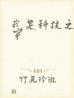 我是科技之光快穿封面