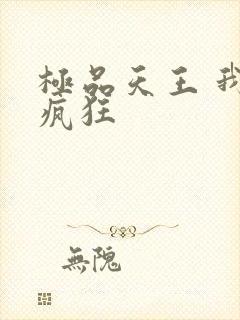 极品天王 我本疯狂封面