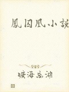 凤囚凰小说