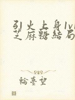 引火上身1v1芝麻糖结局封面