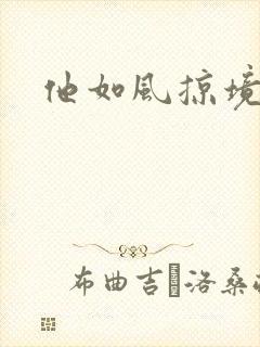 他如风掠境