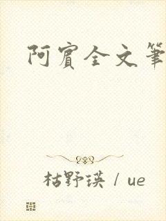 阿宾全文笔趣阁封面