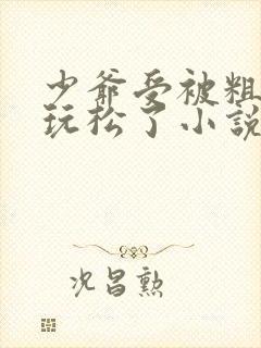少爷受被粗汉H玩松了小说